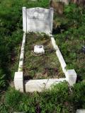 image of grave number 685302